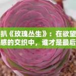 深扒《玫瑰丛生》：在欲望与情感的交织中，谁才是最后盛放的那一朵？