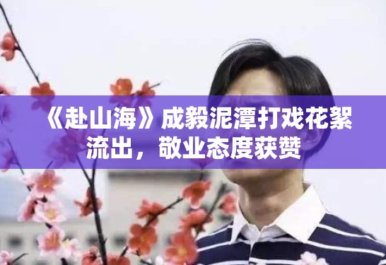 《赴山海》成毅泥潭打戏花絮流出，敬业态度获赞